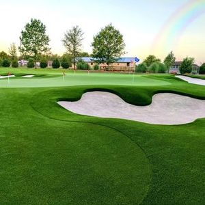 Mini Golf <span class=keywords><strong>Gazon</strong></span> Artificiel en pot Artificiel <span class=keywords><strong>brosse</strong></span> à herbe Pour La Décoration Extérieure <span class=keywords><strong>Gazon</strong></span> Artificiel <span class=keywords><strong>Gazon</strong></span> Synthétique 5-8 ans DUOLI - Product Image 6