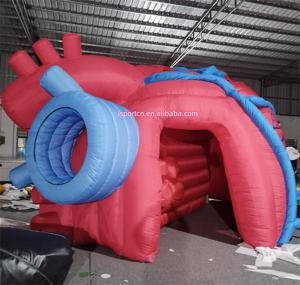 Надувная модель органа человеческого сердца под заказ надувная медицинская сердце надувная 3d модель сердца для медицинских выставок - Product Image 3