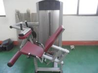 ST-4050 Équipement de fitness professionnel à charges réglables double fonction pour soulevé de cuisse et extension de jambe