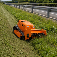 Mesin pemotong rumput Robot Remote Control pemotong sikat perayap industri kualitas tinggi disetujui CE untuk mesin pemotong rumput pertanian