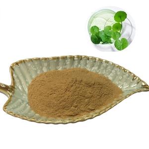 En kaliteli ot özü Gotu Kola ekstresi toz <span class=keywords><strong>Centella</strong></span> Free ca tozu Free coside ve Madecassoside ücretsiz örnekleri ile - Product Image 1