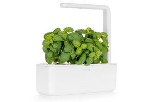 Urban Greens groovy greens Grow Kit contiene <span class=keywords><strong>tutto</strong></span> ciò di cui hai bisogno <span class=keywords><strong>per</strong></span> far crescere i tuoi ingredienti regalo perfetto <span class=keywords><strong>per</strong></span> <span class=keywords><strong>il</strong></span> giardiniere - Product Image 2