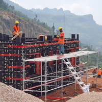 Coffrage Plastique Modulaire Réglable et Réutilisable pour Murs et Poteaux en Béton, Fournisseur Direct Usine à Prix Compétitif