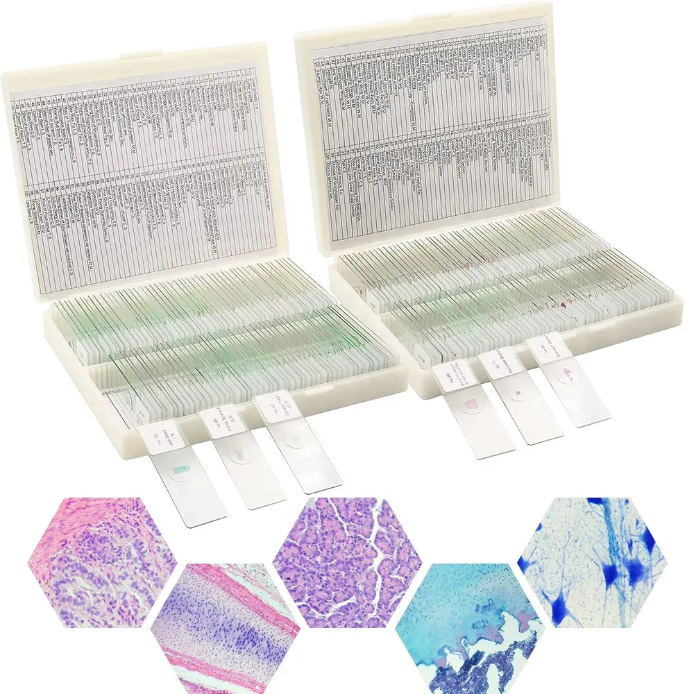 Prepared Human Histology Slides Set FRT2001 Fitted Box 100 Kinds Epithilial Tissue Anatomy Physiology Course Medical Science