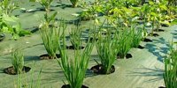 Toile de paillage en PE en rouleau, tissu anti-mauvaises herbes en PE pour parcs et jardins