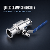 Vanne à boisseau sphérique hygiénique à passage direct, raccordement à collier en deux parties, options d'étanchéité EPDM/PTFE, acier inoxydable SS304 316L