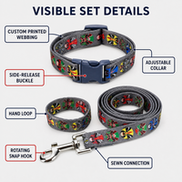 Ensemble collier et laisse pour chien, personnalisable (couleur, logo, emballage, sangle imprimée), direct usine, pour promenades en ville et séances d'entraînement