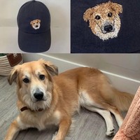 Dropshipping regalo Retro bordado Animal patrón gorra de béisbol mujer cabeza grande circunferencia pato lengua sombrero