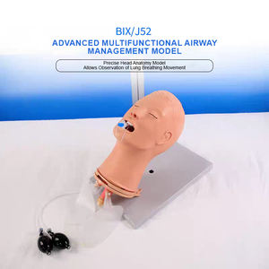 Maniquí de PVC Multifuncional Avanzado ADA J52 de Medio Cuerpo para Entrenamiento en Gestión de Vías Respiratorias en Escuelas de Medicina y Ciencias, Shanghái - Product Image 2