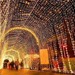 Outdoor Christmas <b>Light</b> Tunnel with LED Decoration for Commercial Project - Product Image 1