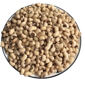 Polvo de Extracto de Frijol Blanco Natural Puro de Alta Calidad 10:1, Polvo Soluble en Agua de Frijol Blanco, Extracto Herbal de China - Product Image 2