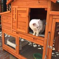 Assurance qualité Poulailler en bois Grand espace Design pour la vente en ligne