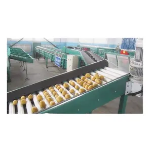 Potato washing/drying/sorting/grading machine