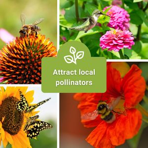 Hoàn Thành vườn rau lợn nái Bộ sưu tập 45 không biến đổi gen gia truyền Rau thảo mộc & Hoa Giống nhà vườn tuyệt vời-Món quà hoàn hảo - Product Image 5