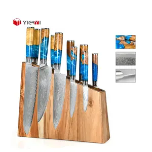 High Carbon 67 Layers Damascus Steel 10 PCS Kitchen Knives Set With Wood Knife Holder Japanese Santoku Chef Bread Chopping Knife