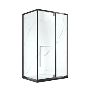 TNS TH2301-3 10mm tinted shower door bathroom glass Heavy duty wall mount glass door shower hinge toilet shower
