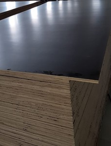 แผ่นไม้อัดแบบหล่อหลอม4x8เบิร์ชแผ่นฟิล์มสีดำหนา18มม. ออกมาด้านหลัง E0ฟอร์มาลดีไฮด์สำหรับโรงแรมสมัยใหม่ - Product Image 2