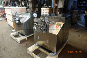 Homogénéisateur de lait Ace pour petite entreprise laitière - Product Image 6