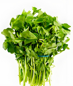 Extracto de <span class=keywords><strong>Nasturtium</strong></span> <span class=keywords><strong>Officinale</strong></span> en Polvo de Alta Calidad 10:1, Polvo Soluble en Agua Xiyangcai, Extracto Herbal de Grado Alimenticio de China - Product Image 2