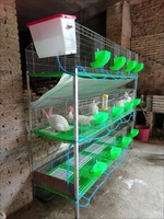 Cage à lapins galvanisée renforcée de qualité supérieure, neuve, à 3 niveaux, en treillis métallique de type H, de qualité alimentaire, pour l'élevage à grande échelle