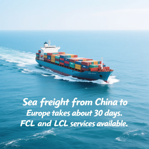 Logística de carga marítima de FCL a grupaje de Reino Unido, Países Bajos, Irlanda con términos de DDP, solución completa de envío europeo, servicio de 27 días - Product Image 4