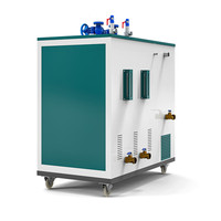 Générateur de vapeur électrique industriel 48KW, chaudière à économie d'énergie pour la cuisson et le traitement