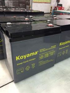 <span class=keywords><strong>6V</strong></span> 210AH солнечная батарея глубокого цикла, батарея тележки гольфа - Product Image 3