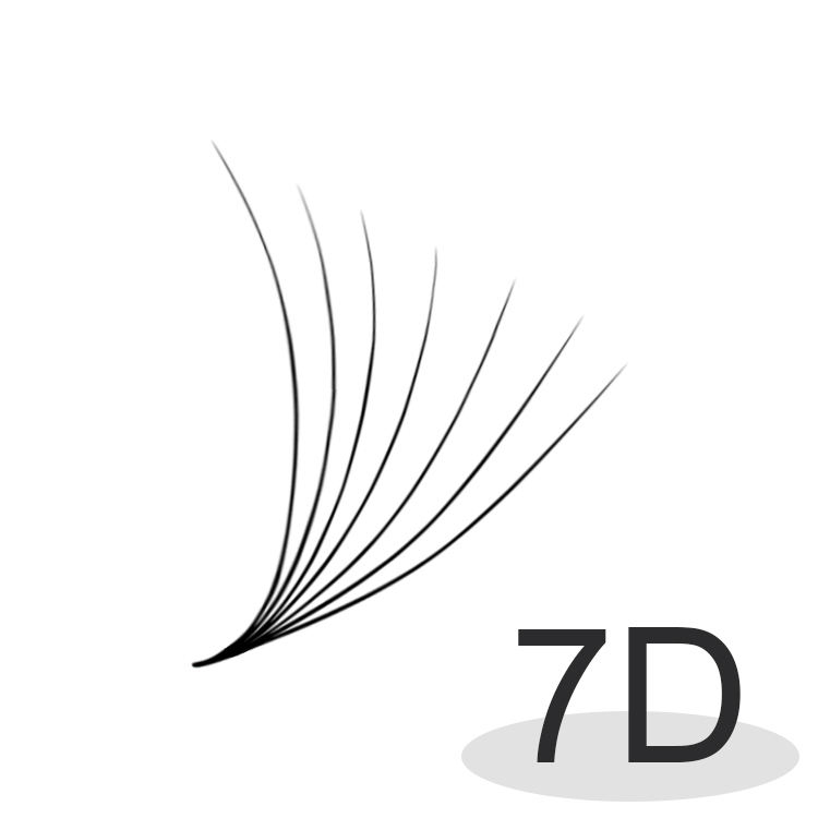 7D