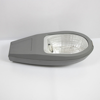 Ampoules halogènes étanches IP66 pour extérieur, lampadaires AC, ABS, CRI élevé 70, personnalisation, 220V 320V, garantie 2 ans, gris