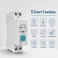 Disjoncteur intelligent WiFi Tuya APP avec contrôle vocal, mesure de l'énergie en temps réel, rail DIN, petite taille 1P+N 90-300V 1-63A