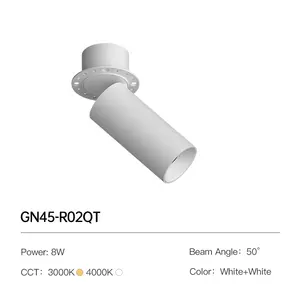 XRZLux ayarlanabilir yüzeye monte Mini yuvarlak ışık otel oturma odası Mini gömme COB Downlight 8W tavan Led spot