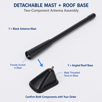 Angled Detachable-Mast Roof Aerial Assembly Angled-Mast Automotive Roof Aerial Assembly Set on a Low-Profile Geometric Base