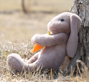 Ngày phục sinh lễ hội thỏ quà tặng đồ chơi thỏ thỏ sang trọng với đồ chơi cà rốt - Product Image 4