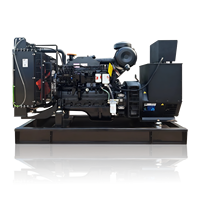 Générateur de type silencieux à cadre ouvert 40KW 50KVA avec moteur SDEC Générateur de dynamo monophasé 220V pour la maison Option ATS disponible