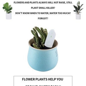 Medidor de Humedad del Suelo, Versión Personalizable con Tarjeta de Papel, para Jardinería y Cuidado de Flores - Product Image 5