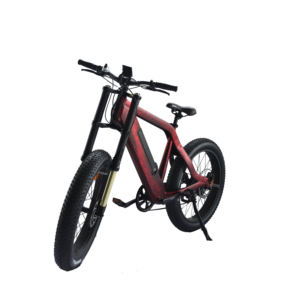 विंटेज विशाल बिजली साइकिल mountainbike चीन में किए गए 300 वाट - Product Image 2