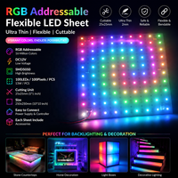 Feuille LED flexible adressable 250*250mm DC12V 100 LED RGB 100 pixels Angle de faisceau 120° °   Plaques LED numériques pour fonds en marbre