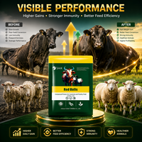 SAIK RED BULLS Additif d'engraissement pour bovins et ovins, complément alimentaire haute efficacité pour la prise de poids, enzymes de qualité alimentaire favorisant la croissance