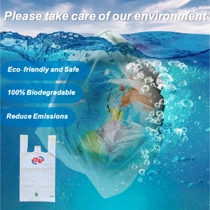 Bán chạy nhấ<span class=keywords><strong>t</strong></span> thân thiện với môi PLA <span class=keywords><strong>t</strong></span>úi nhựa cho bao bì bán lẻ và trung <span class=keywords><strong>t</strong></span>âm khuyến mãi nhà máy trực tiếp phân hủy sinh học <span class=keywords><strong>t</strong></span>úi với CE/FDA - Product Image 4