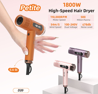 Sèche-cheveux ionique professionnel haute vitesse avec diffuseur pour salon et hôtel, moteur BLDC, séchage rapide, portable, outils OEM à marque privée