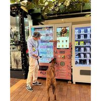 Distributeur automatique réfrigéré WiFi 2024 pour aliments pour animaux de compagnie en vente avec paiement par carte de paiement
