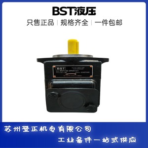 Bomba Hidráulica Bst Sv11c 32 35 R01 C1 de Alta Presión con Doble Paleta para Aplicaciones de Impulso - Product Image 2