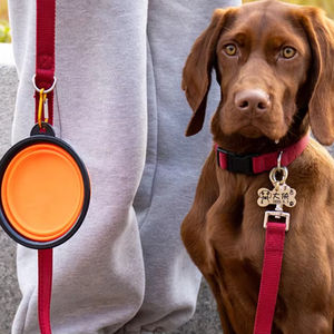 Taşınabilir katlanabilir Pet özel köpek kase yuvarlak kolay taşıma seyahat besleyici küçük hayvanlar için renkli yükseltilmiş kedi köpek tabak - Product Image 3