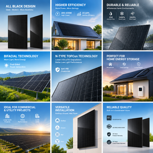 แผงโซลาร์เซลล์สีดำสนิท 480W 485W 490W 495W 500W แบบ N กระจกสองชั้น ราคาดี - Product Image 6