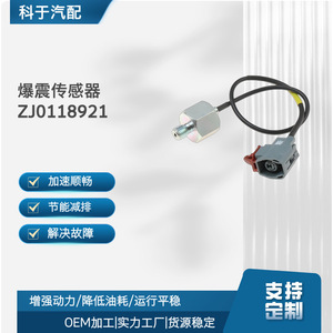 Capteur de cliquetis ZJ0118921 E1T50371 pour moteur automobile, pièce de rechange OEM - Product Image 5