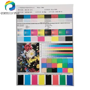 Tinte für Riso Com color EX9050 EX7200 EX7250 Lebendige Farbe Hochwertige Japan-Pigment tinte für Riso Com color 7250