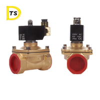 Vanne de gaz en laiton série cuivre 2w de haute qualité électrovanne NC/NO