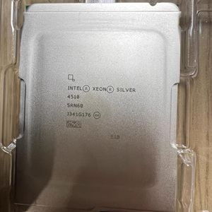 Processore Intel Xeon Silver 4110 2.10GHz 11mo L3 – Processore Intel Xeon ( Silver, 2.10 GHz LGA 3647 14 Nm, 64 bit, server/workstation (rigenerato certificato
