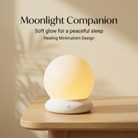 Lumière d'ambiance classique pour chambre à coucher, lumière LED de nuit rechargeable USB à changement de couleur RGB, romantique, décorative, activée par le toucher