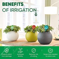 Lot de 6 globes d'arrosage pour plantes - Ampoules d'arrosage automatique pour plantes d'intérieur et d'extérieur - Globes aquatiques soufflés à la main pour plantes